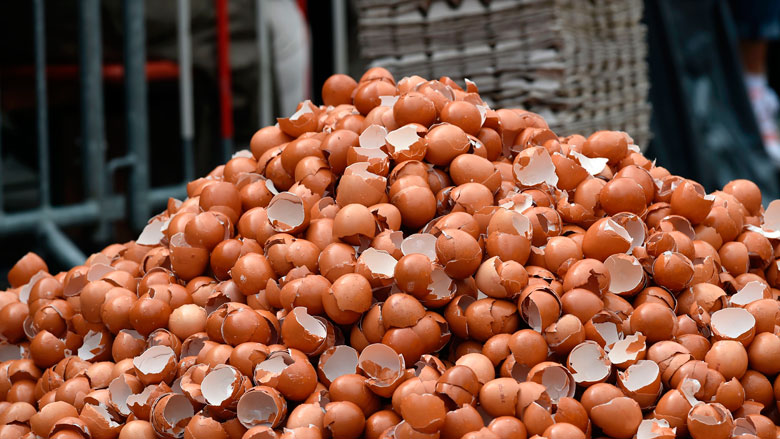 fipronil-050917.jpg fipronil-050917.jpg