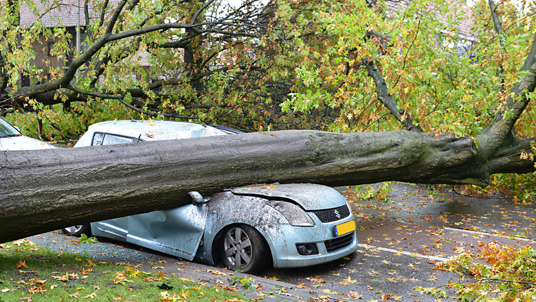 stormschade-achmea-28022018.jpg stormschade-achmea-28022018.jpg