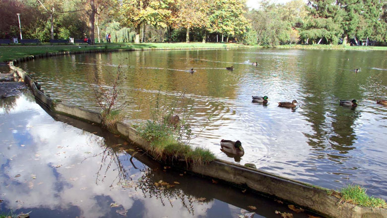stadvijver-uitstoot-18042019.jpg stadvijver-uitstoot-18042019.jpg
