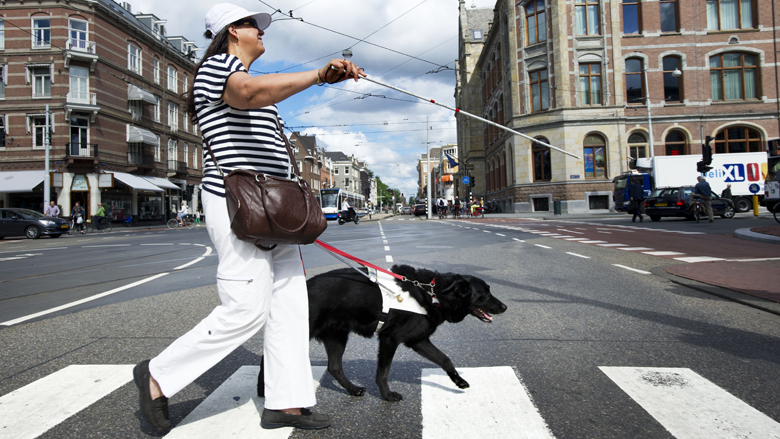 780x439_blindengeleidehond_18112017.jpg