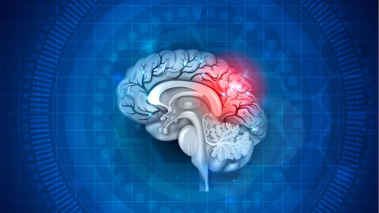 21042020 hersenen.jpg