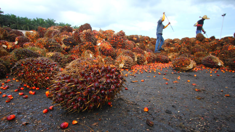 palmolie-plantage-hulpartikel-13032019.jpg