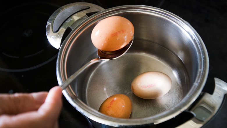 bestuurders-chickfriend081517.jpg bestuurders-chickfriend081517.jpg