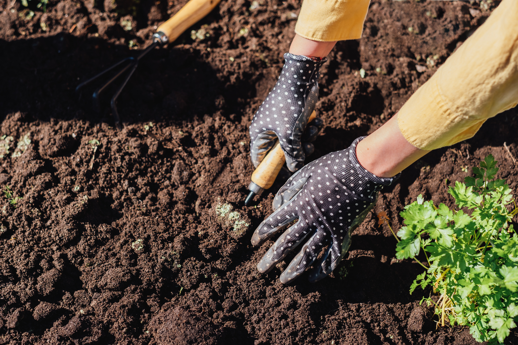 Tuinieren Met Biologische Potgrond