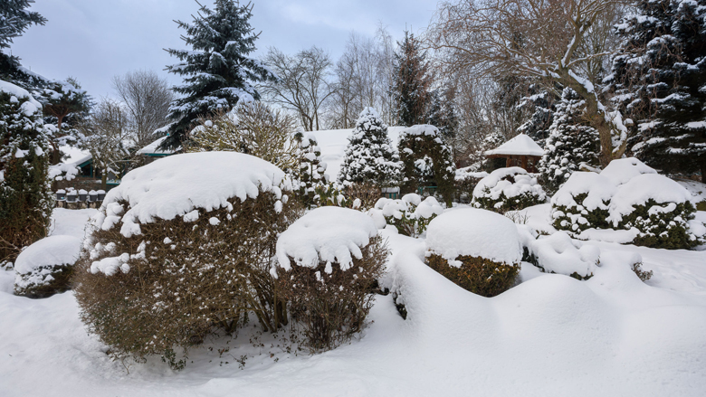 780x439_aankondiging_tuinwinterklaar.jpg 780x439_aankondiging_tuinwinterklaar.jpg