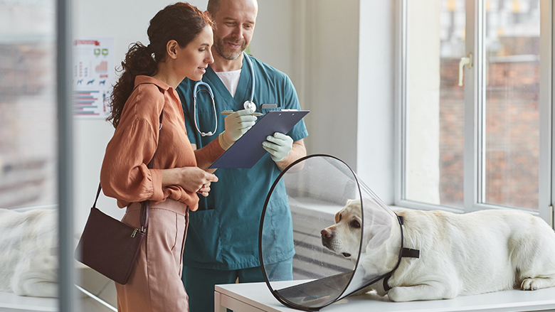 110422 dierenverzekering.jpg