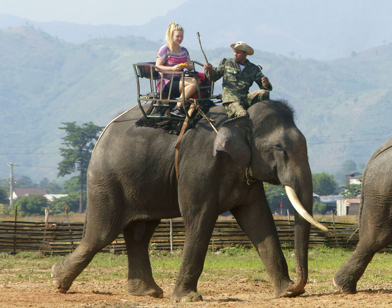 olifant_toerist_628.jpg olifant_toerist_628.jpg