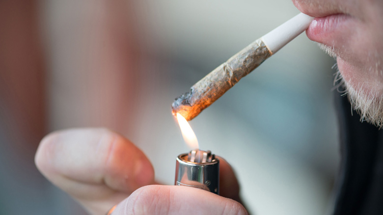 cannabis.jpg cannabis.jpg