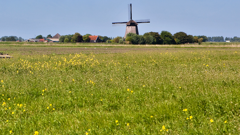 roermond-20190814.jpg roermond-20190814.jpg