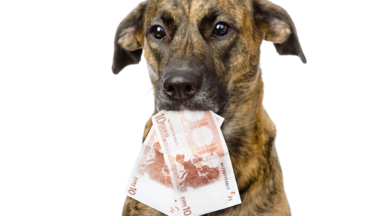 hondenbelasting-07072017-780.jpg