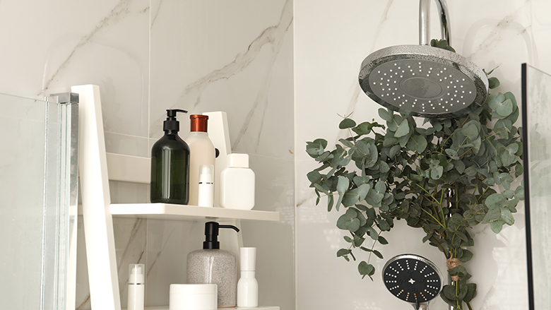 090622 eucalyptus site.jpg