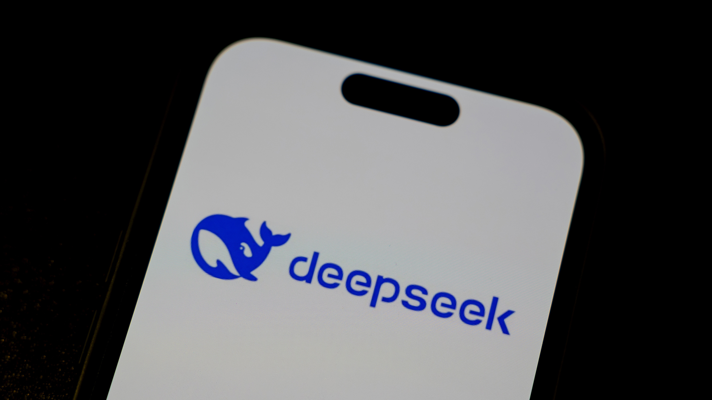 Deepseeeek Deepseeeek
