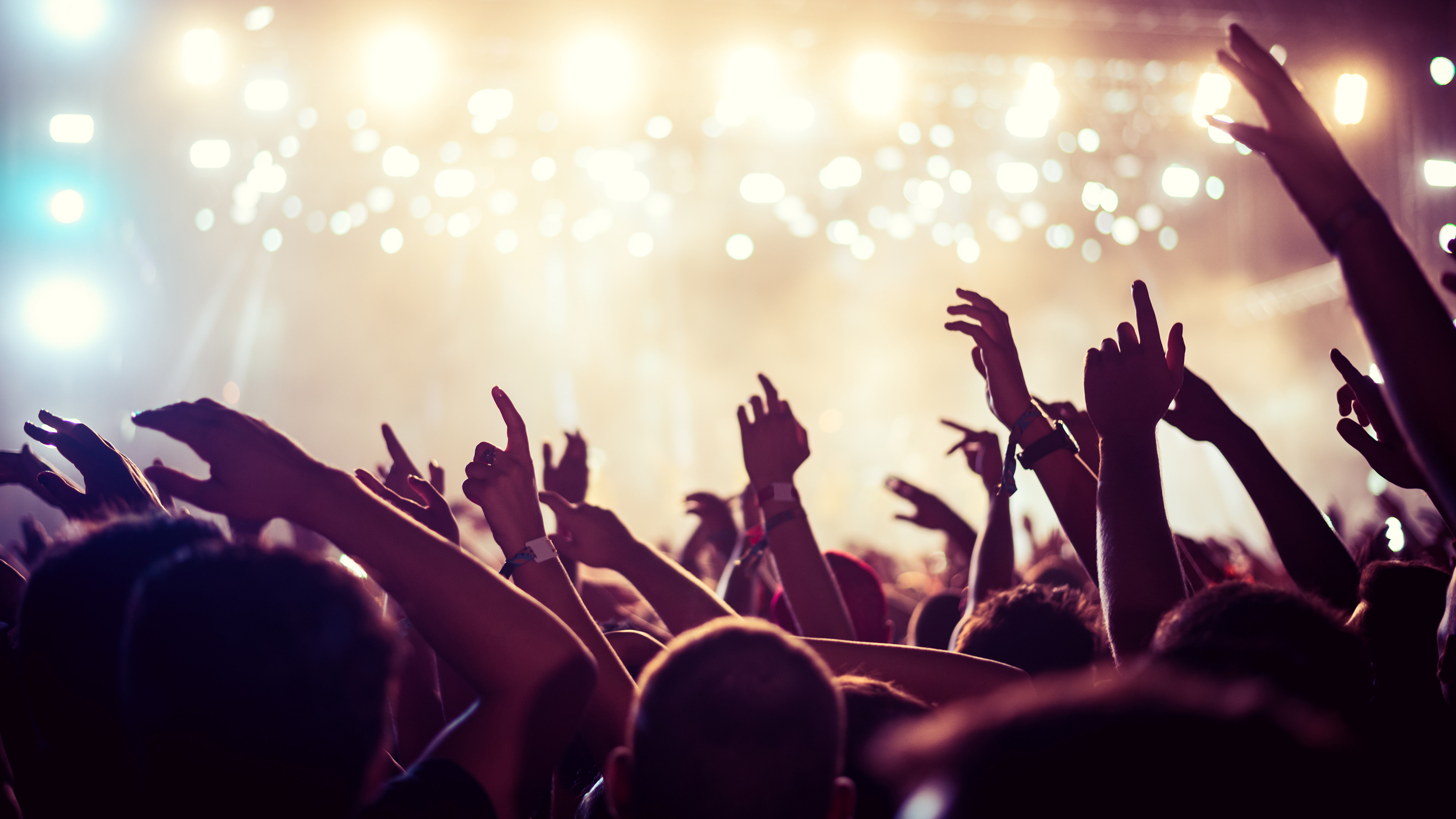 festivals-bezoekers-13092019.jpg festivals-bezoekers-13092019.jpg