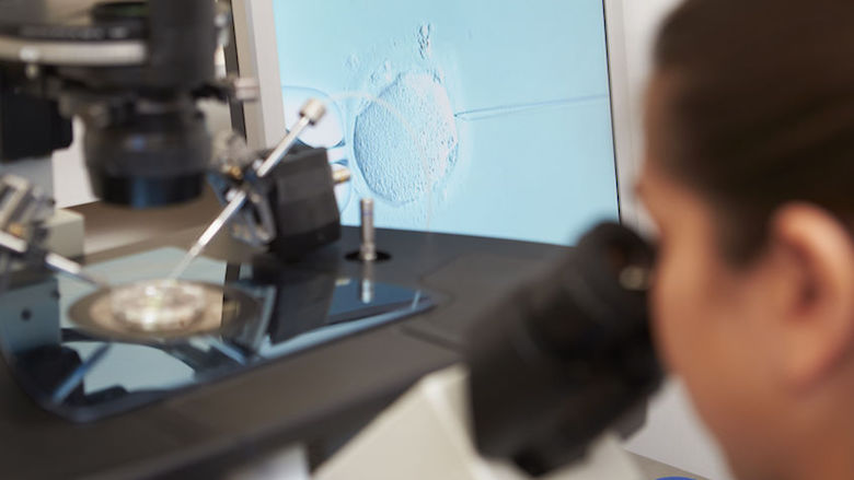 20190302_ivf_radar.jpg 20190302_ivf_radar.jpg