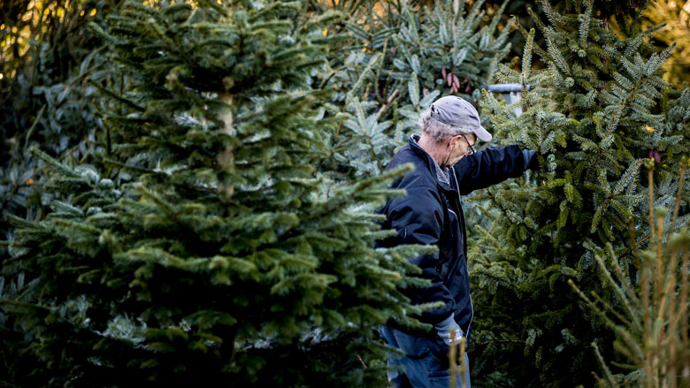 kerstboom-uitkiezen-duurzaam-71218_780.jpg kerstboom-uitkiezen-duurzaam-71218_780.jpg