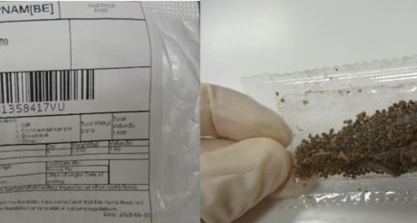 11092020-plantenzaadjes via de post.jpeg