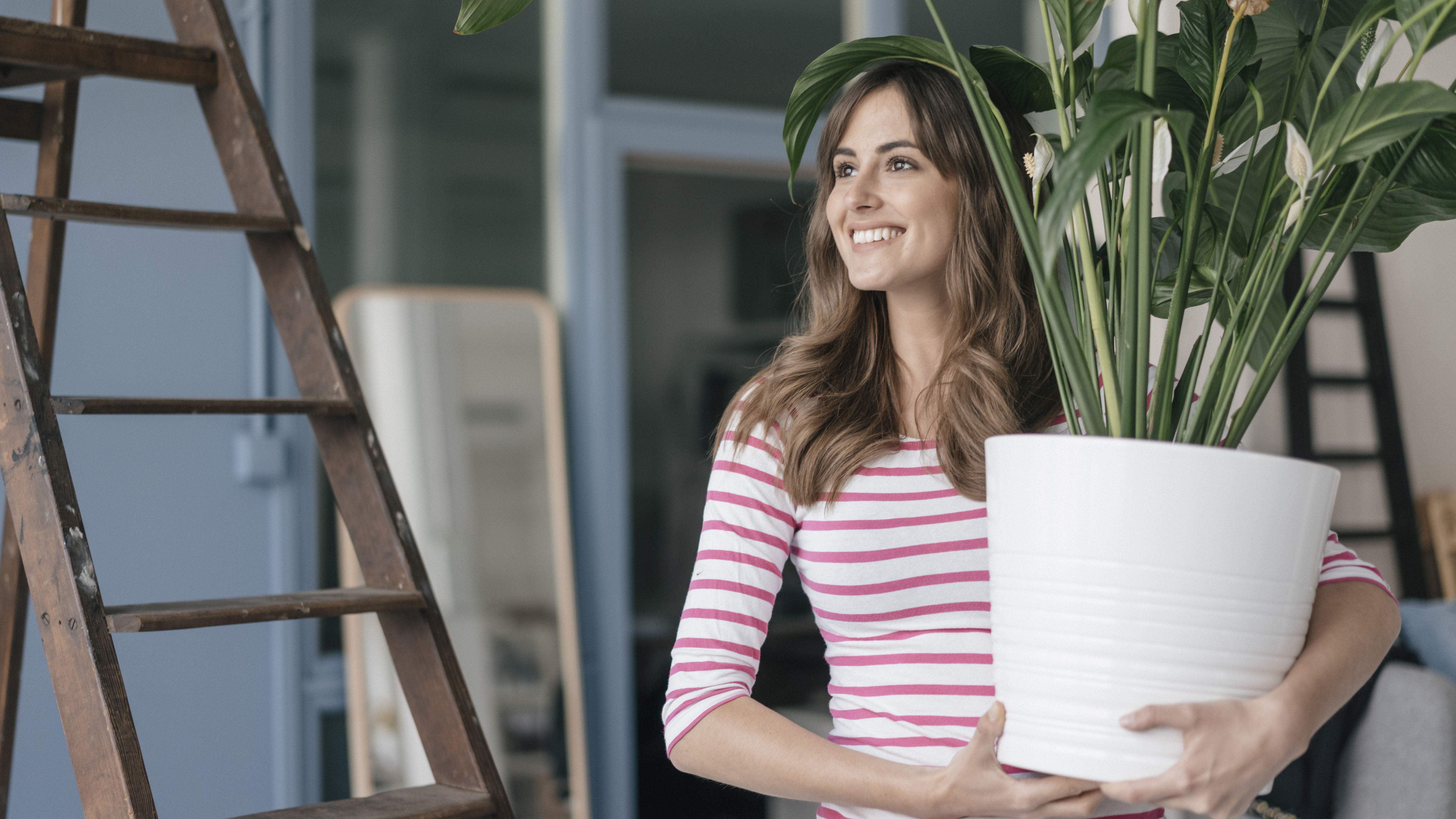 Luchtzuiverende planten.jpg