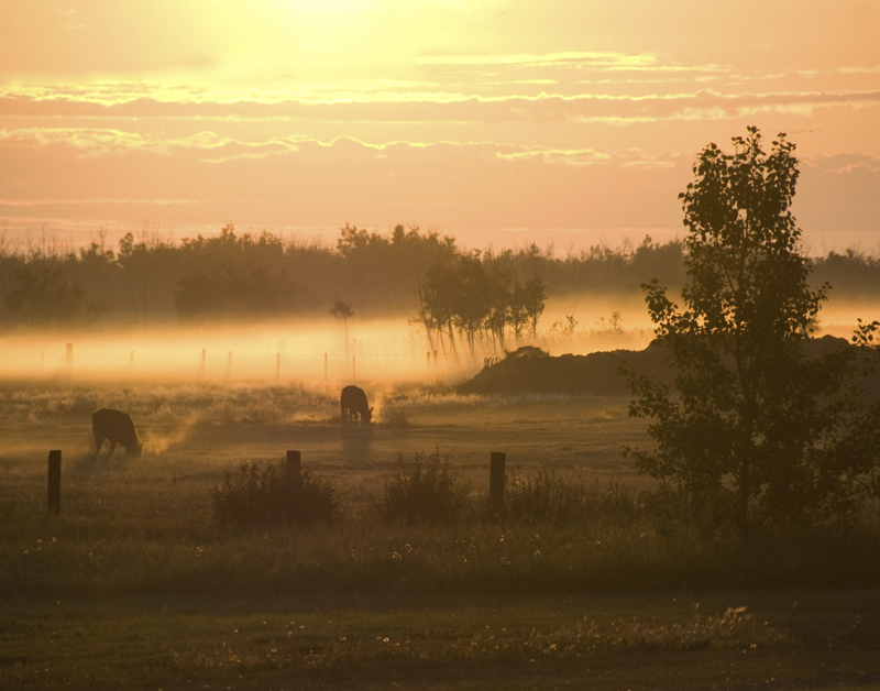 zonsopkomst_zon_landschap_800.jpg zonsopkomst_zon_landschap_800.jpg