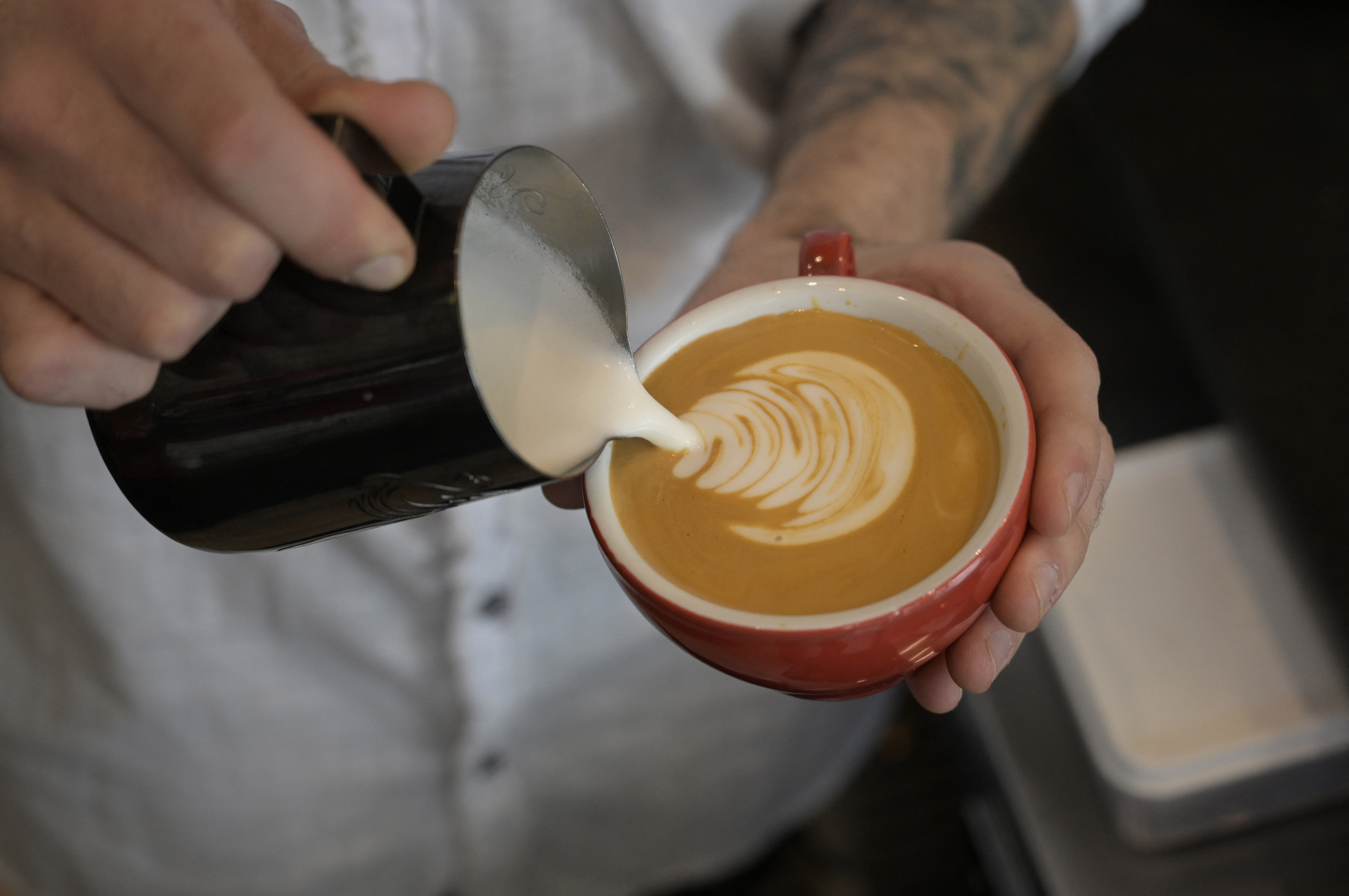 Mushroomcoffee Mushroomcoffee