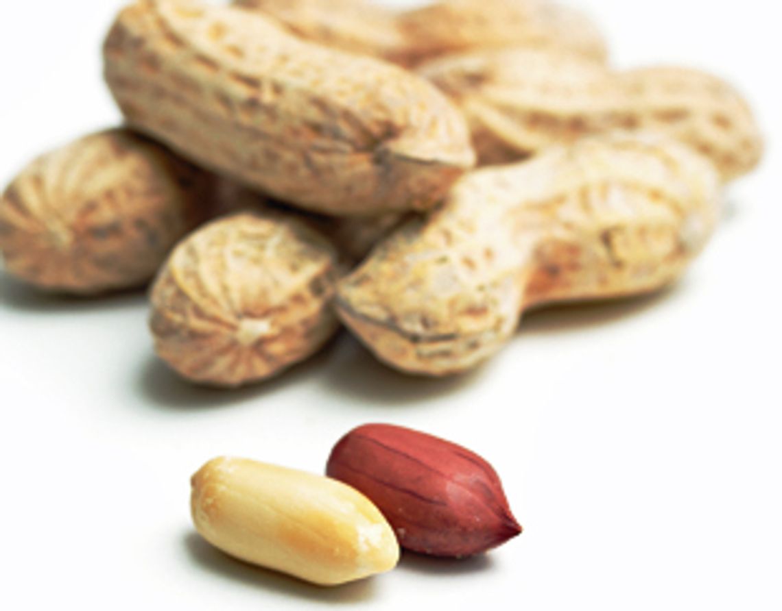 Pindaallergie kan genezen door pinda's Radar het