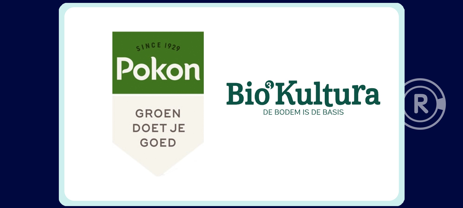 Reactie Potgrond Reactie Potgrond