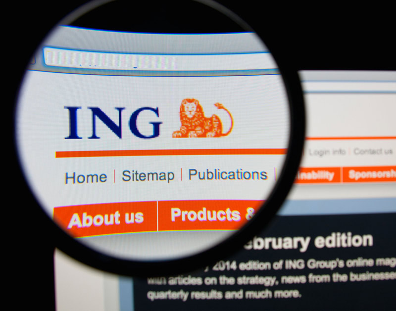 ing_800x628.jpg ing_800x628.jpg