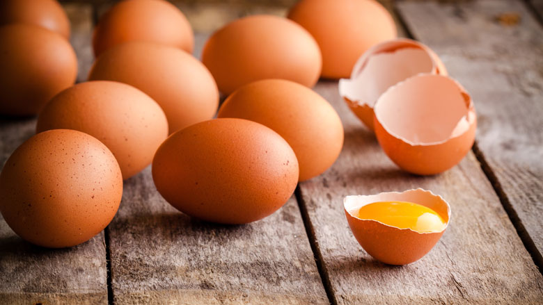 hoger-beroep-fipronil-10-10-2019.jpg hoger-beroep-fipronil-10-10-2019.jpg