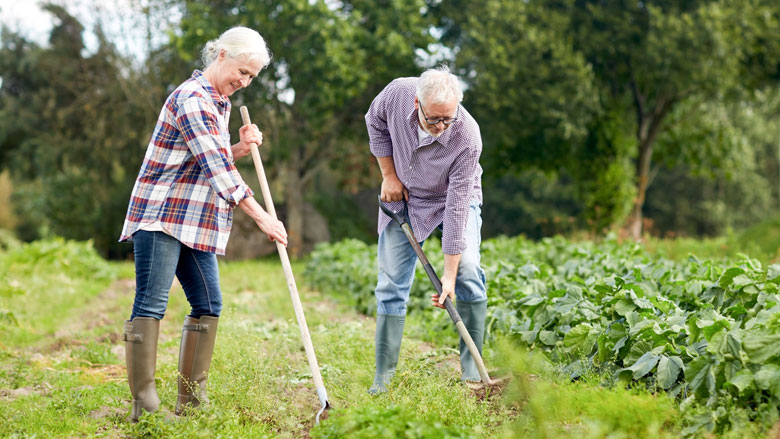 onkruid-verwijderen-tuin-780-tips.jpg onkruid-verwijderen-tuin-780-tips.jpg