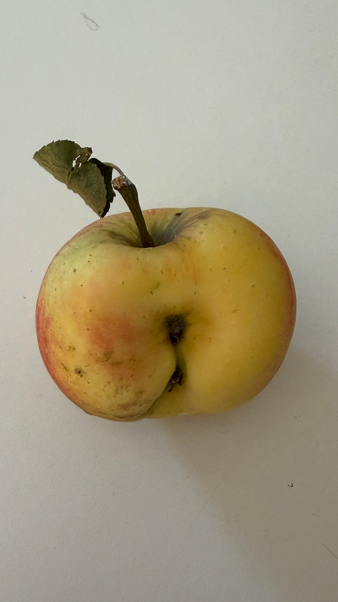 Appeltje