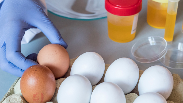 fipronil-pluimvee-15-05-2018.jpg fipronil-pluimvee-15-05-2018.jpg