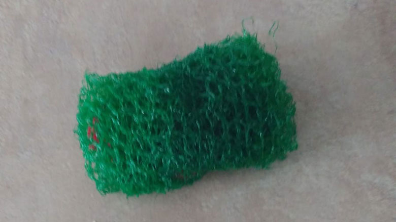 schuursponsje-fruitnetje-09052019.jpg schuursponsje-fruitnetje-09052019.jpg