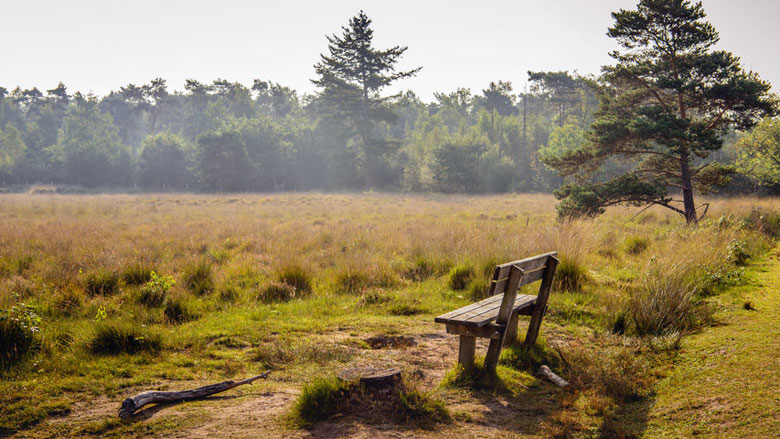 stikstof-gaswinning-natuur-22-08-2019.jpg stikstof-gaswinning-natuur-22-08-2019.jpg