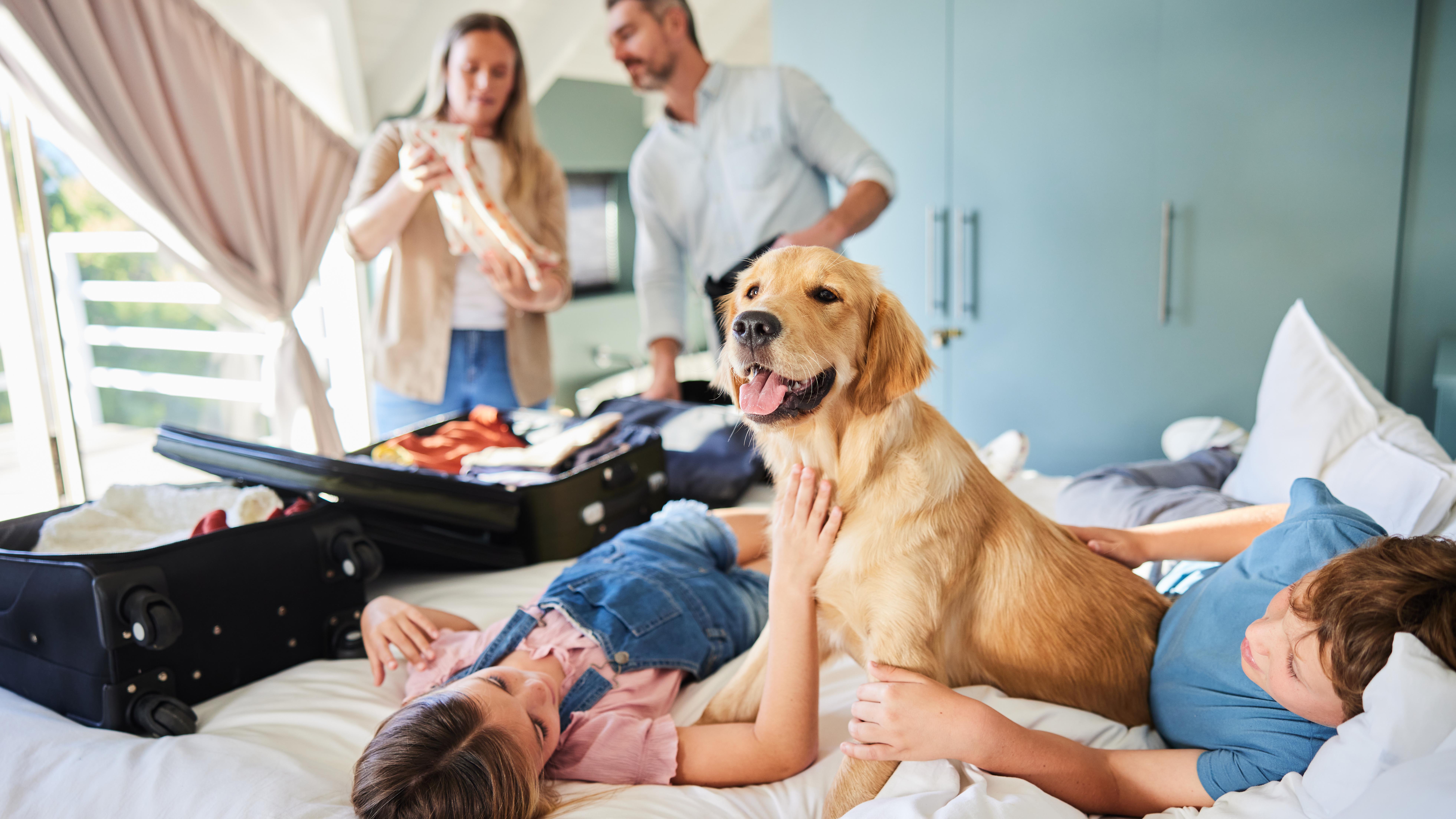 Hond Hotel Hond Hotel