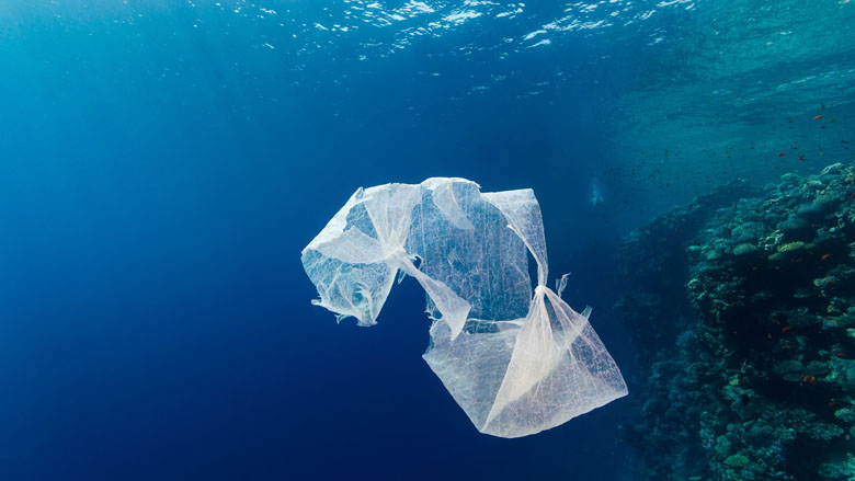 plastictasje780.jpg plastictasje780.jpg