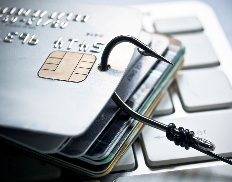 creditcard_phishing800.jpg creditcard_phishing800.jpg