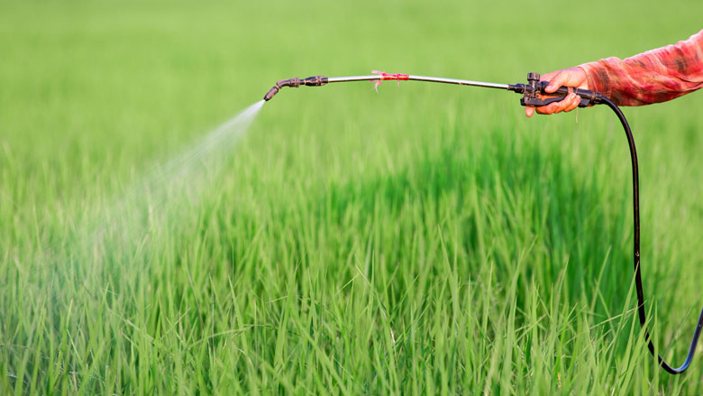 pesticide_780.jpg pesticide_780.jpg
