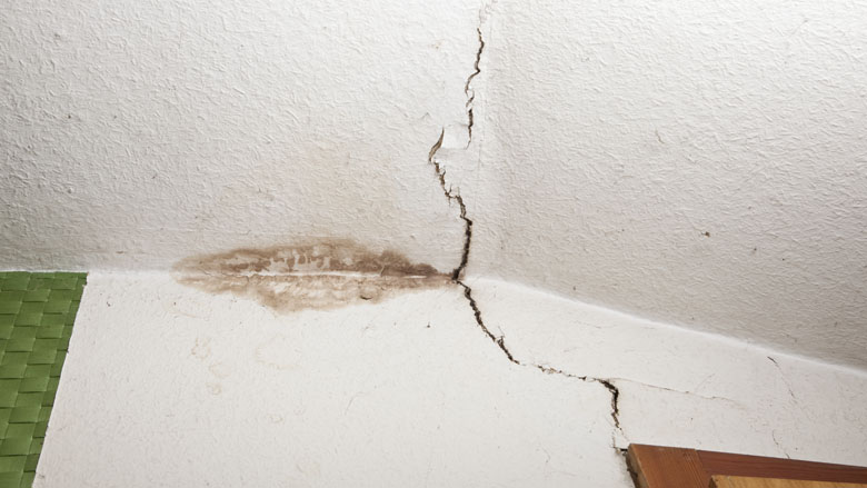 vochtprobleem_huurwoning-woningcorporatie-780.jpg vochtprobleem_huurwoning-woningcorporatie-780.jpg