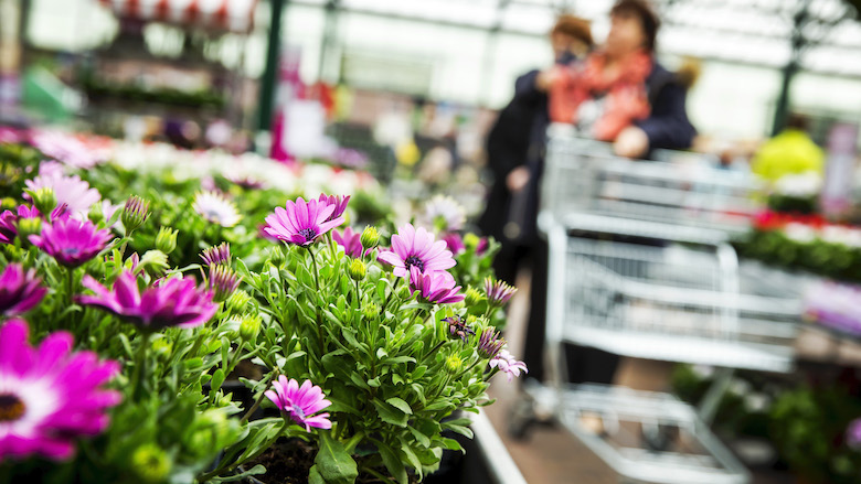 19062021 tuincentra.jpg