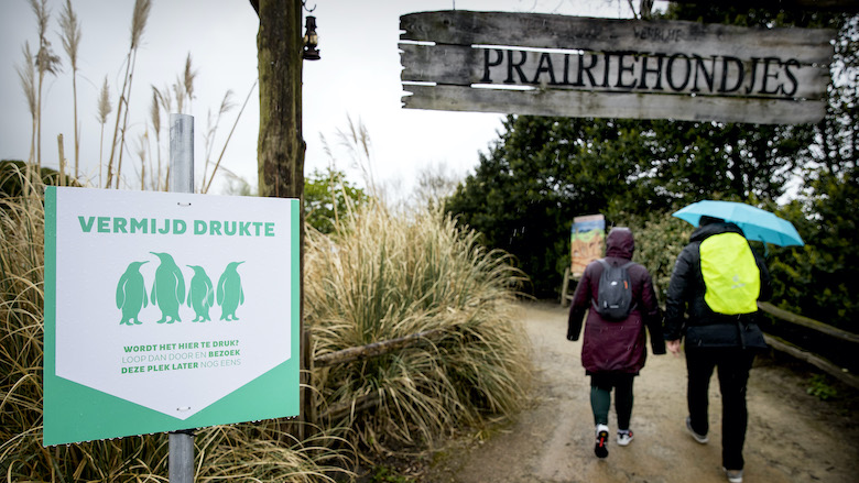 17:05 versoepelingen.jpg