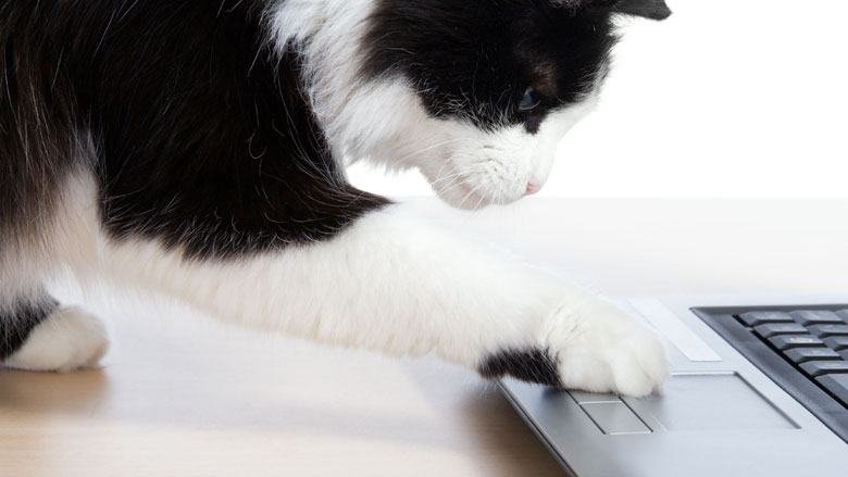 kat-computer-10-05-2018-780.jpg kat-computer-10-05-2018-780.jpg