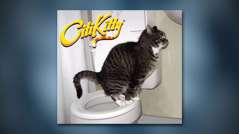 r105kattentoilet_kat_op_toilet_780.jpg