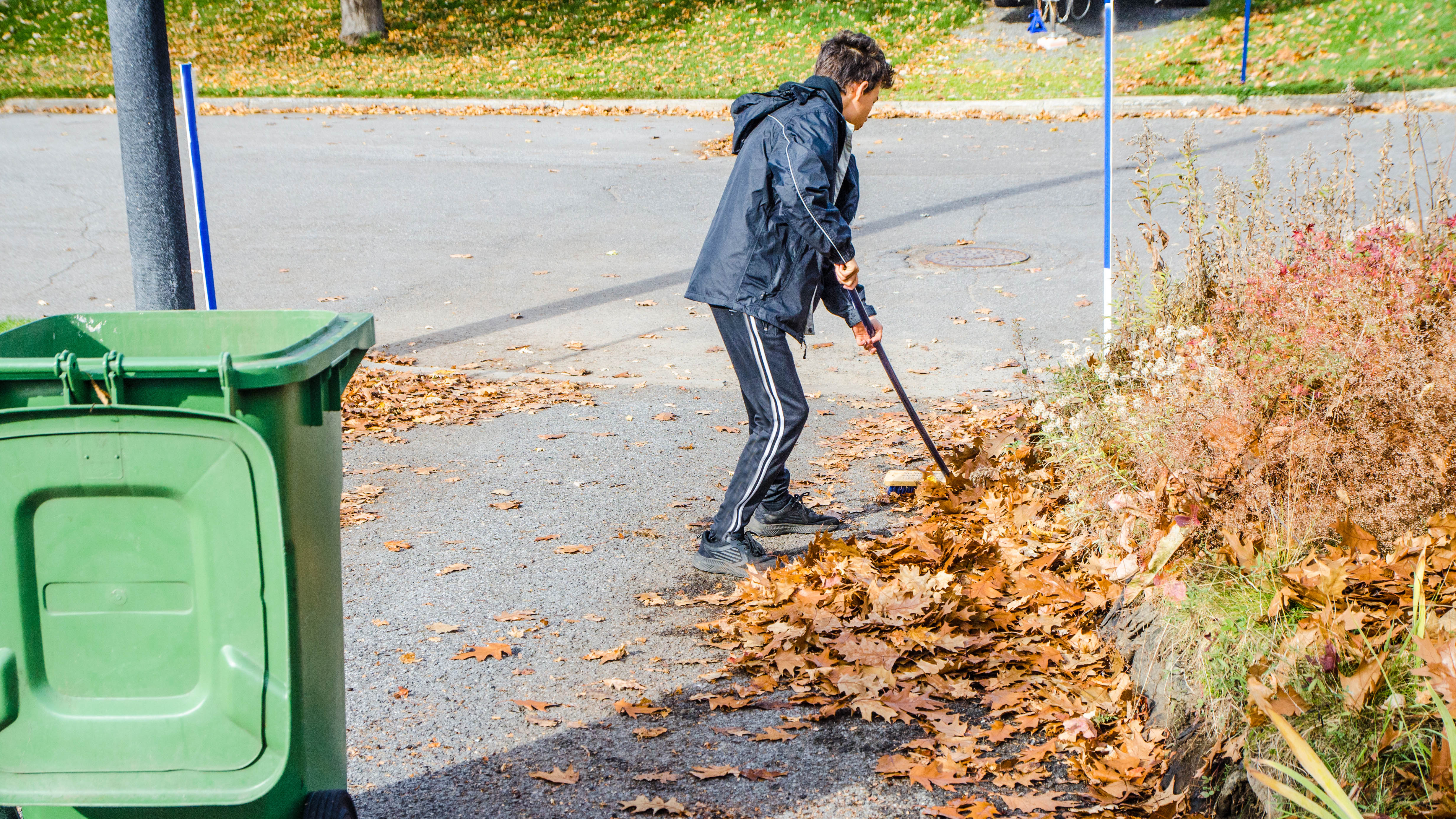 Bladeren Op De Stoep