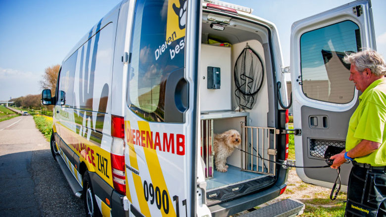 dierenambulance229-10-2020.jpg dierenambulance229-10-2020.jpg
