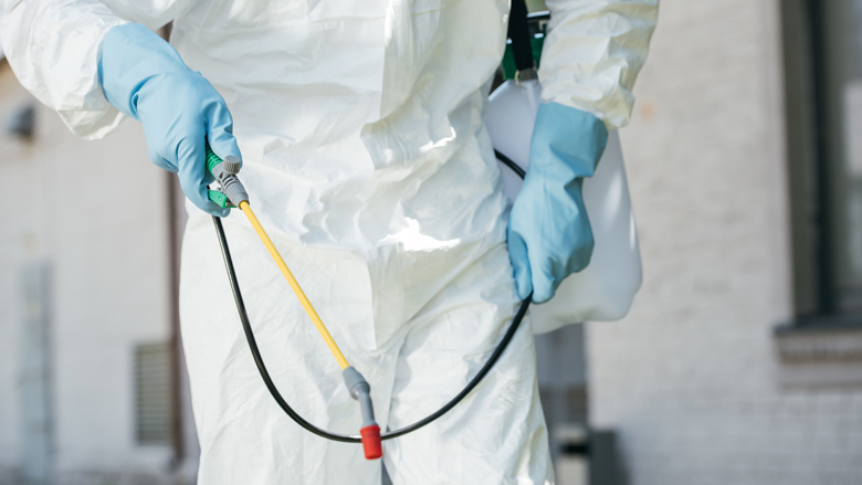 insecticide-20190827.jpg insecticide-20190827.jpg