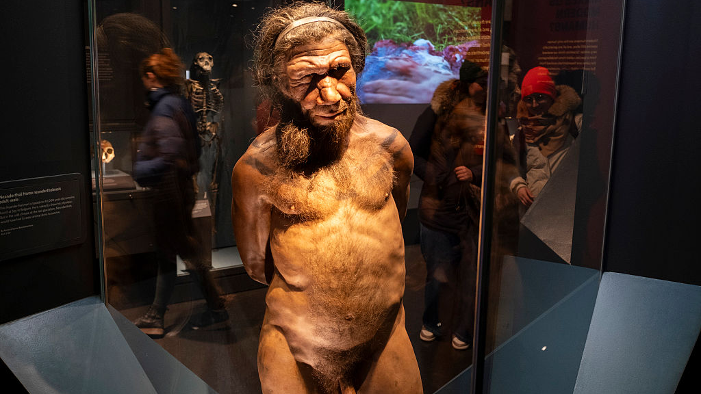 Neanderthaler Neanderthaler