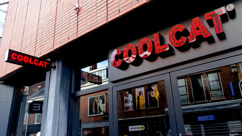 coolcat-winkel-19032019.jpg coolcat-winkel-19032019.jpg