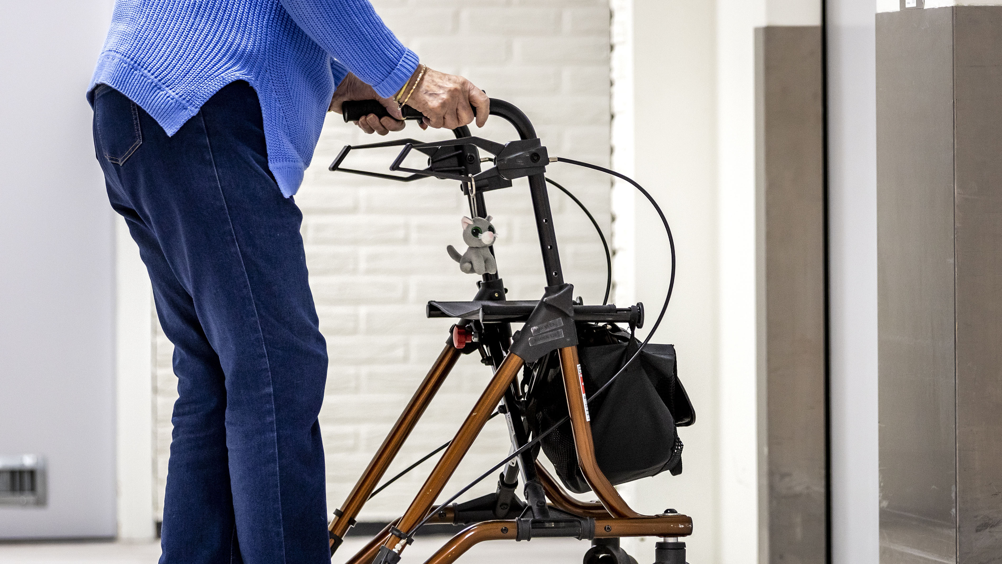 rollator.jpg rollator.jpg