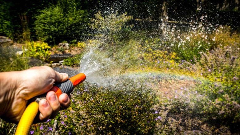 water-sproeien-drinkwater-zuinig-tarief-hoger_780.jpg