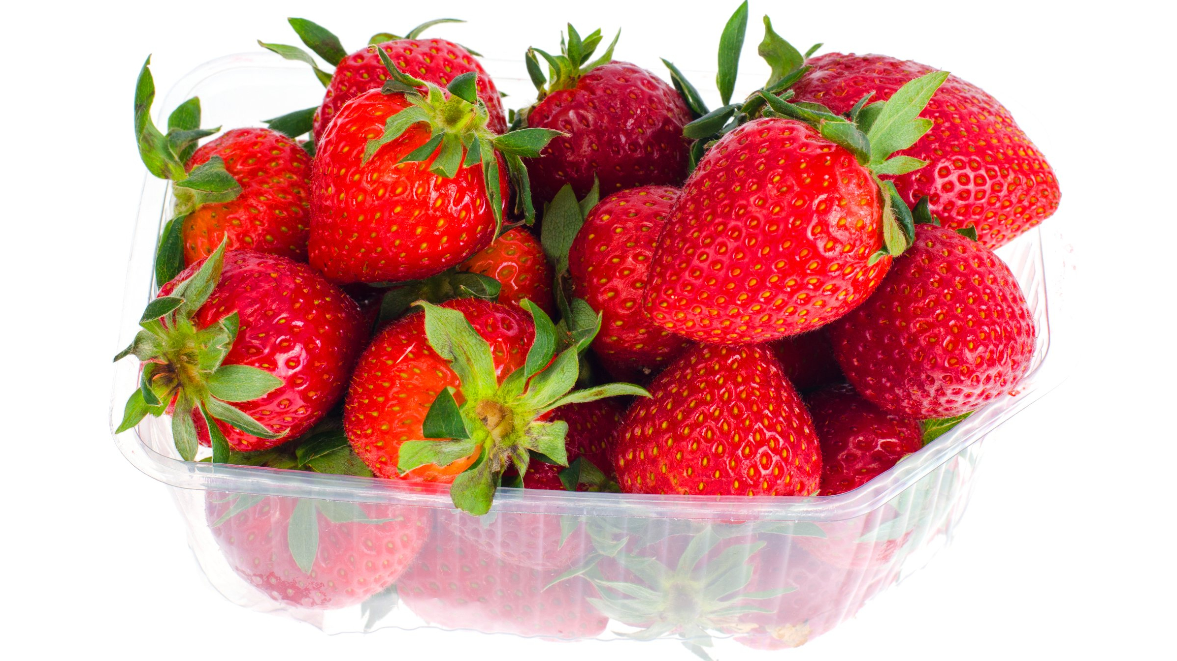 aardbeien_26aug_2022.jpg aardbeien_26aug_2022.jpg