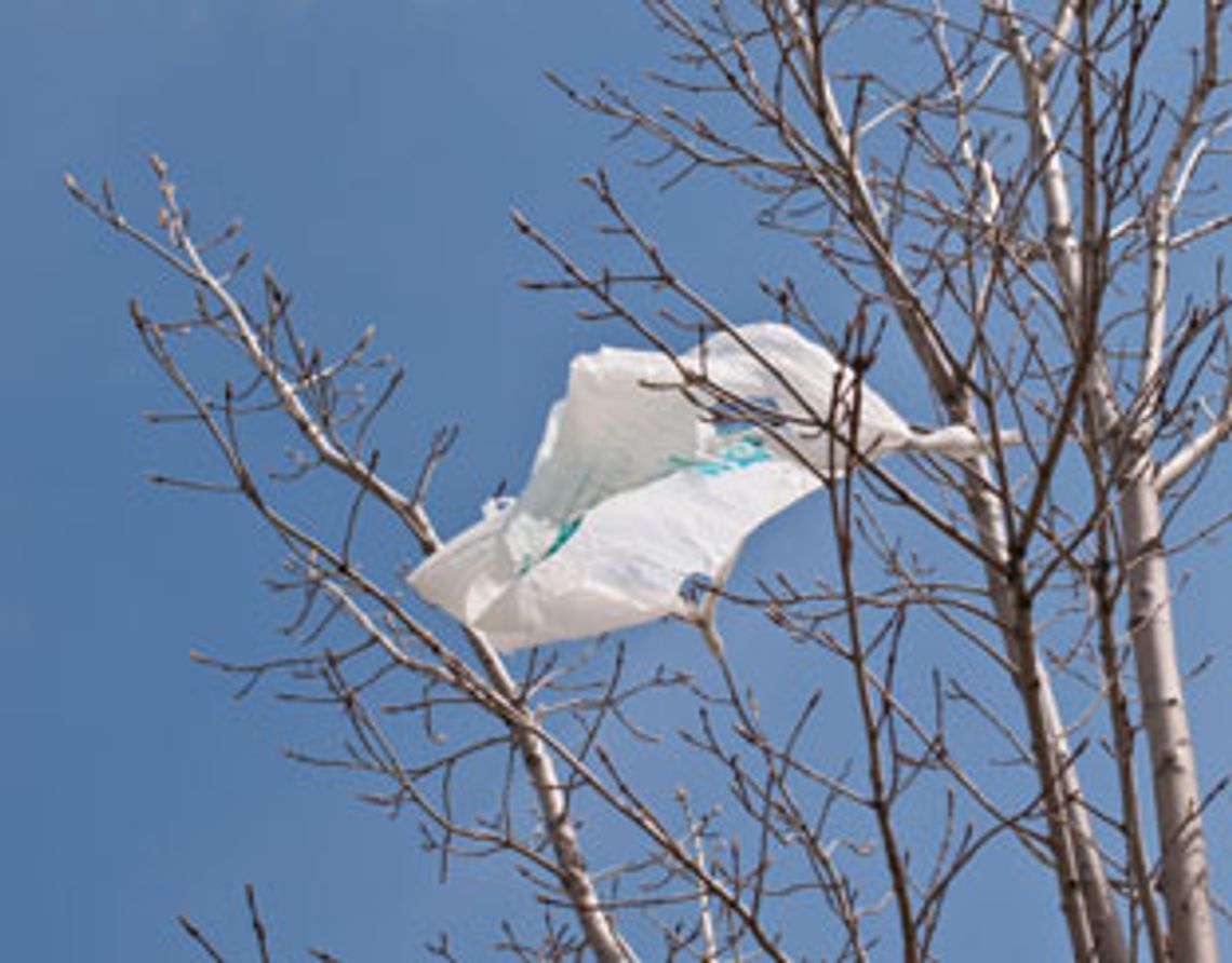 Plastic Zakjes Voor Groenten En Fruit In De Ban: 'Slecht